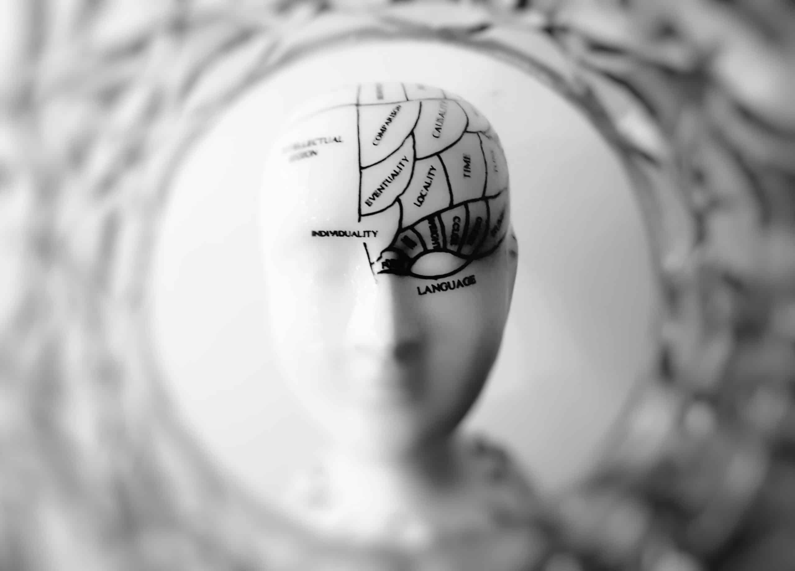 Anatomy of the Brain