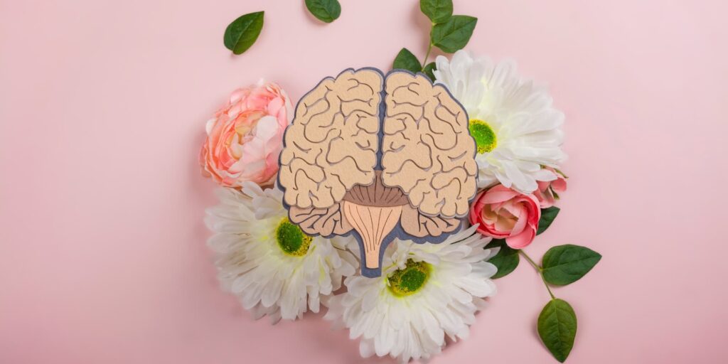 Mental Illness vs Mental Wellness