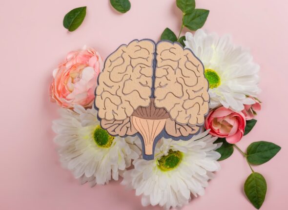 Mental Illness vs Mental Wellness