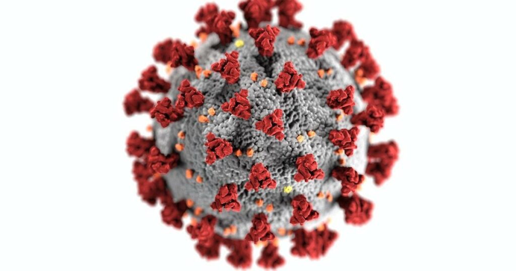 COVID-19 virus