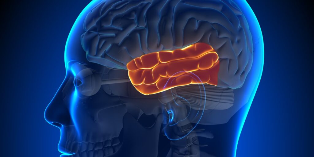 Frontotemporal Dementia: A Quick Overview